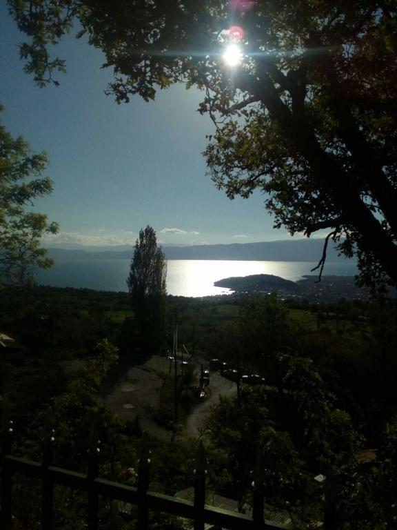 Villa & Apartments Petkoski Ohrid Eksteriør billede