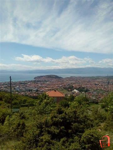 Villa & Apartments Petkoski Ohrid Eksteriør billede